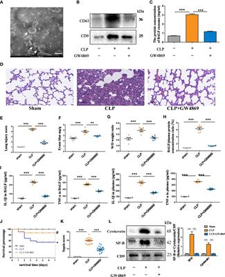 Exosomes Derived From Alveolar Epithelial Cells Promote Alveolar Macrophage Activation Mediated by miR-92a-3p in Sepsis-Induced Acute Lung Injury